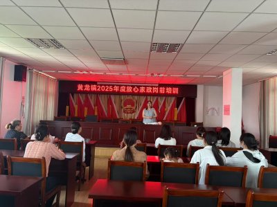 【鄉(xiāng)鎮(zhèn)動態(tài)】黃龍鎮(zhèn)婦聯(lián)：